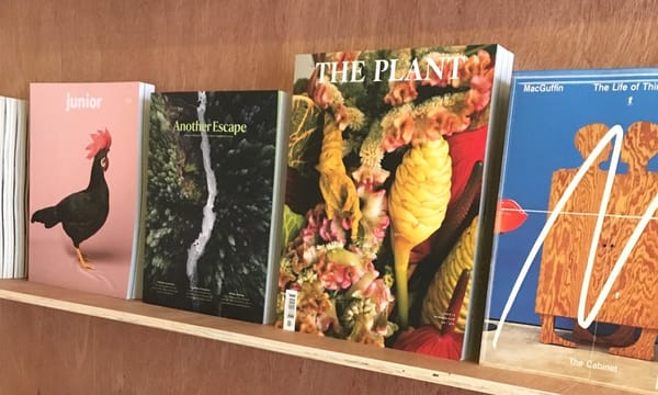 Starting a magazine shop